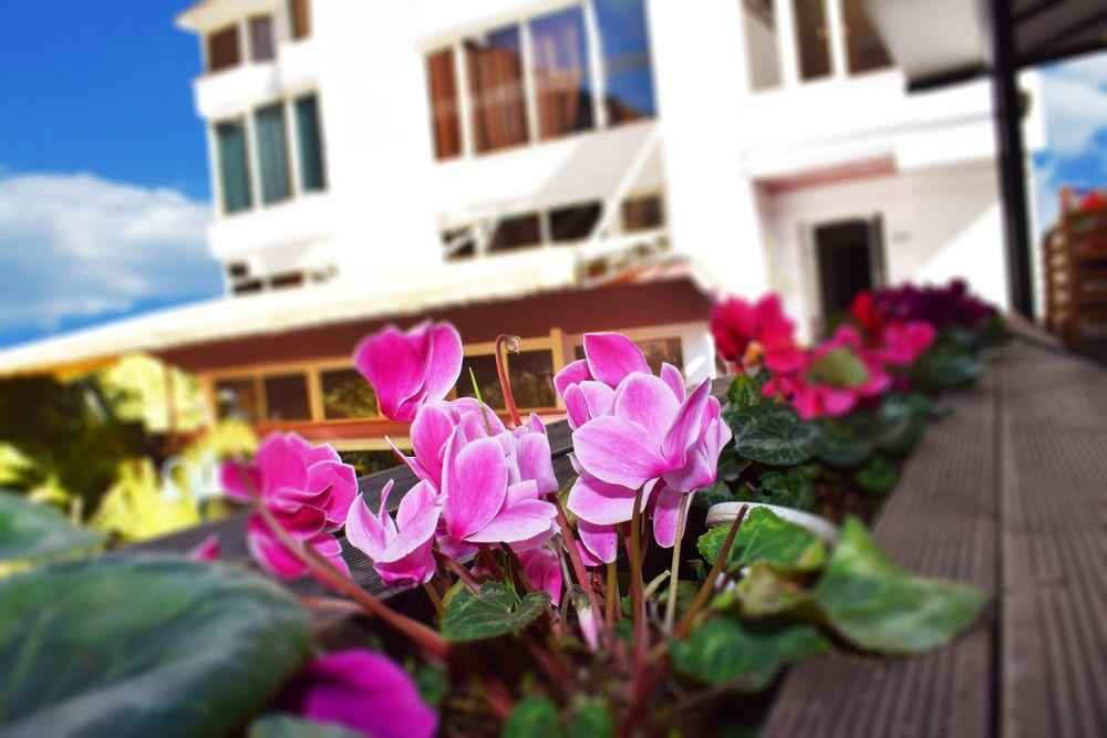 טיראנה Royal Vila Hotel מראה חיצוני תמונה